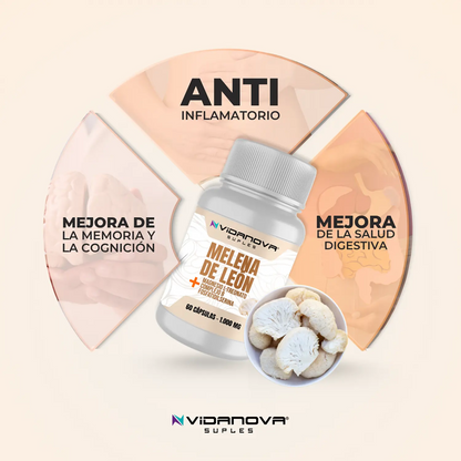 Melena de León Fortificada🌿