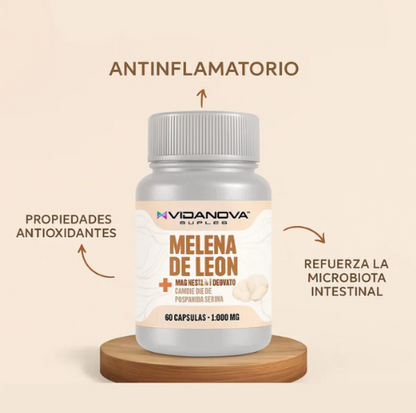 Melena de León Fortificada🌿