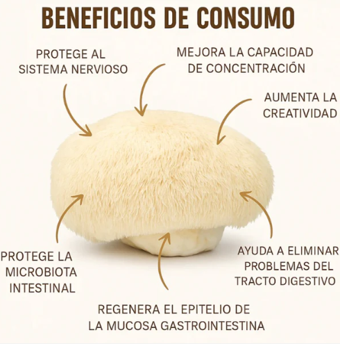 Melena de León Fortificada🌿