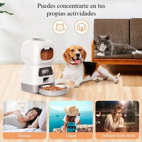 Dispensador Automático Alimentos mascota